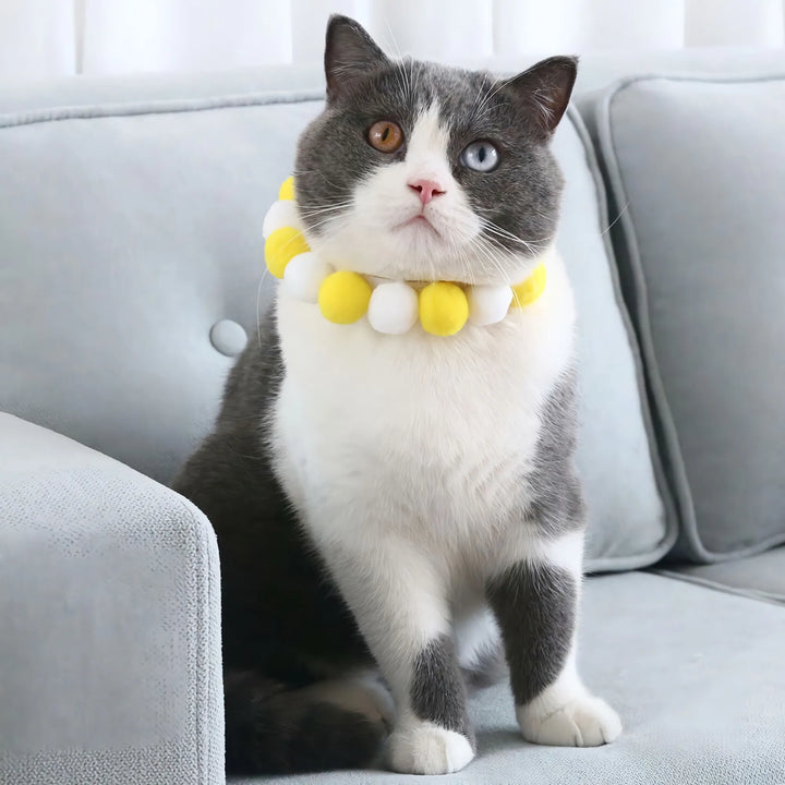 Soft Plush Pet Necklace Collar