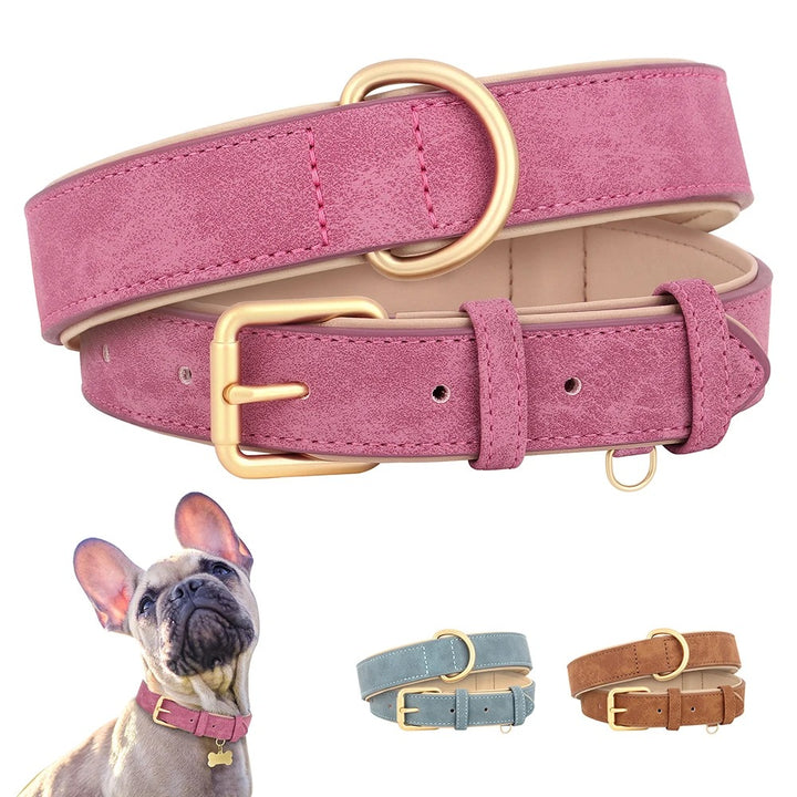 Soft Leather Padded Dog Collar Adjustable and Durable for Small and Medium Dogs