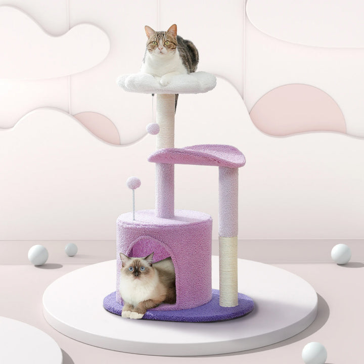 Small Purple Flower Cat Tree with Condo & Scratching Post