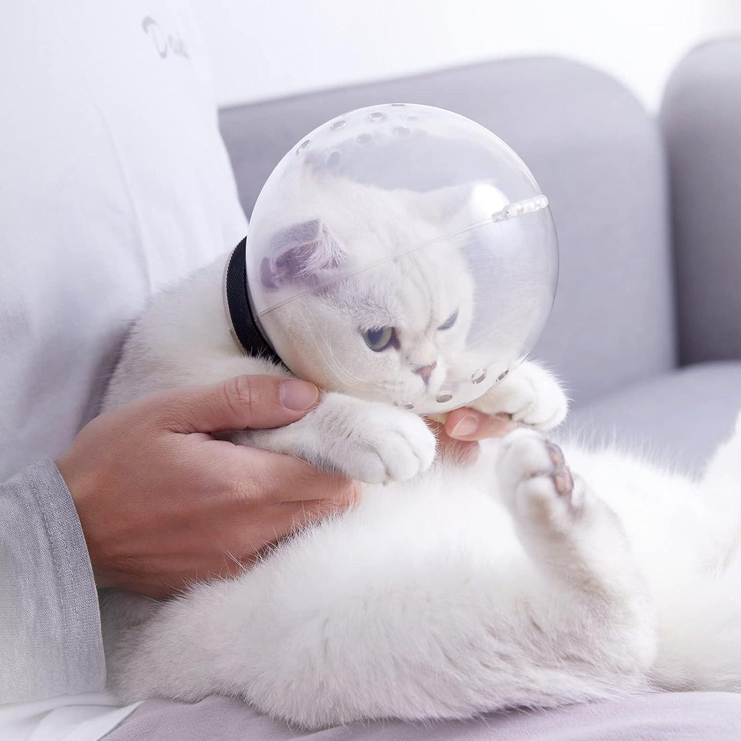 Cat Grooming Space Hood