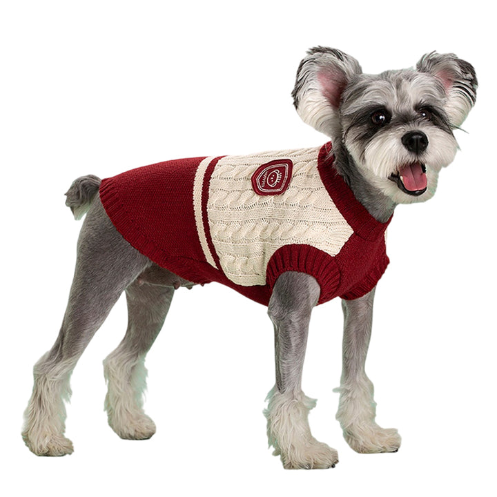 College Style Pet Sweater