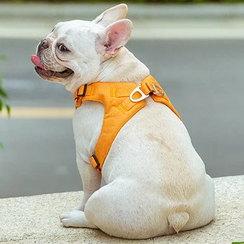 Eco-Friendly Adjustable No-Pull Pet Harness