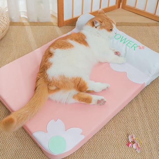 Cozy Pet Bed with Pillow