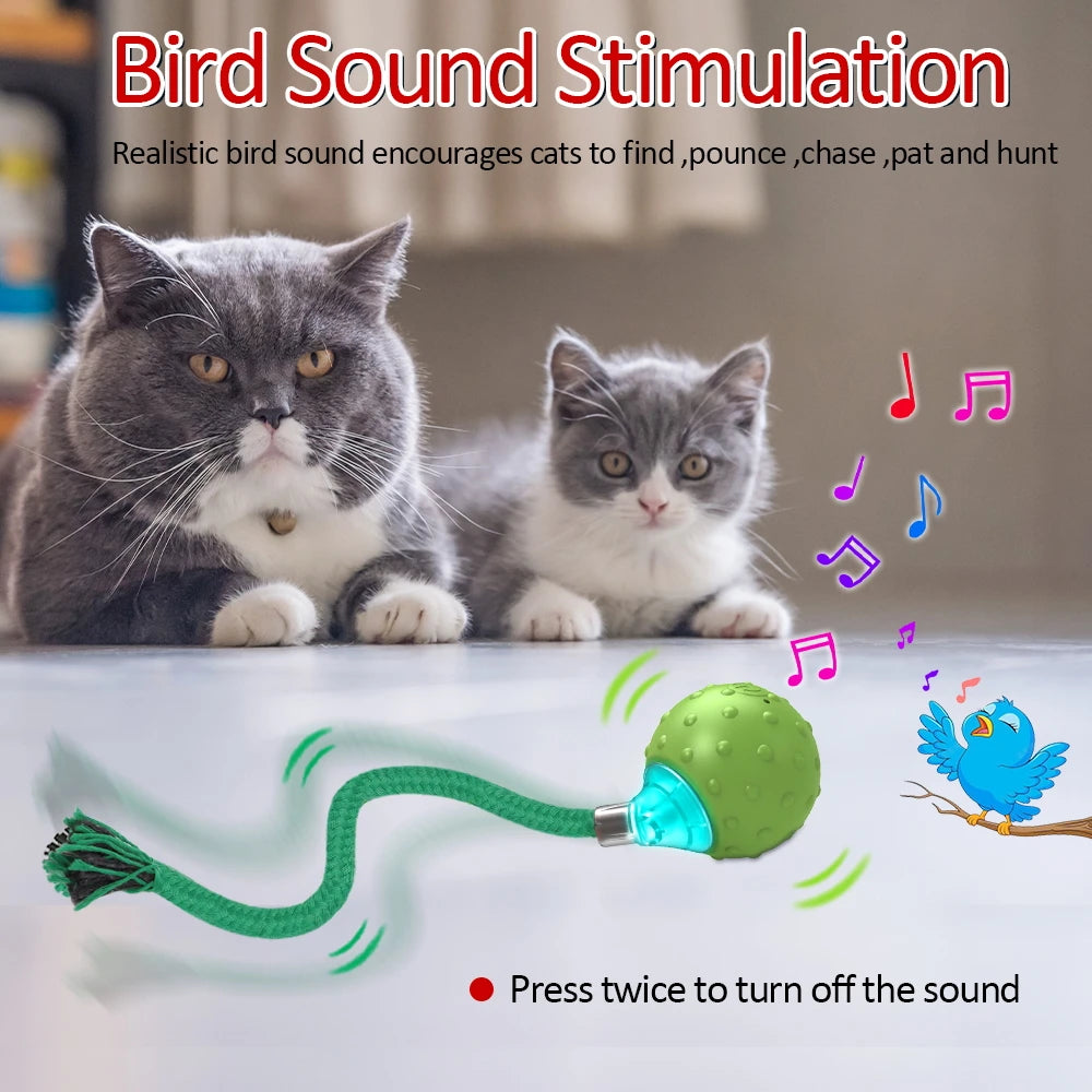 Interactive Motion-Activated Cat Toy with Rolling Ball, Teaser Tail, and Bird Sounds