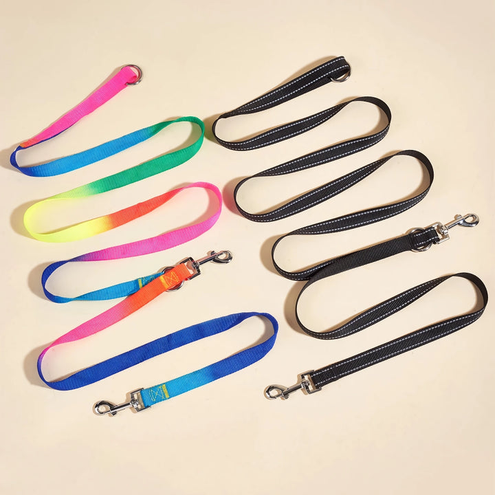 Durable Nylon Dog Leash