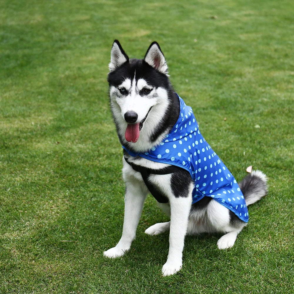 Portable Waterproof Dog and Cat Raincoat