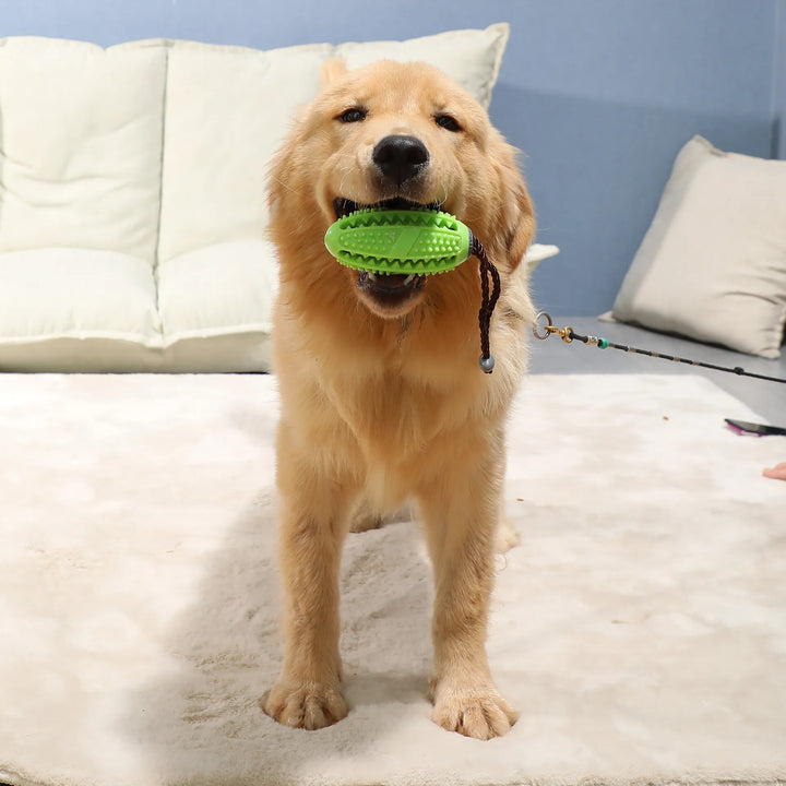 Rubber Chew Ball for Dogs