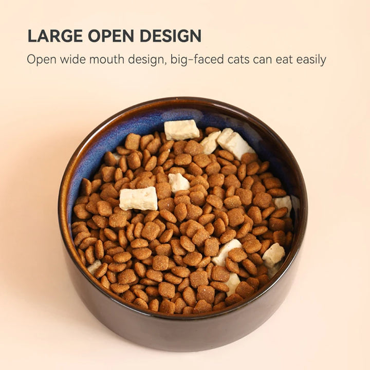 Double Cat Food Bowls with Iron Stand - Starry Pet Feeding Bowls for Cats and Small Dogs