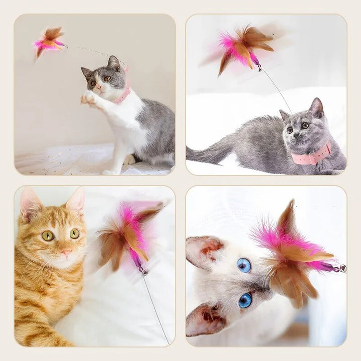 Interactive Feather Teaser Stick with Bell Collar for Cats