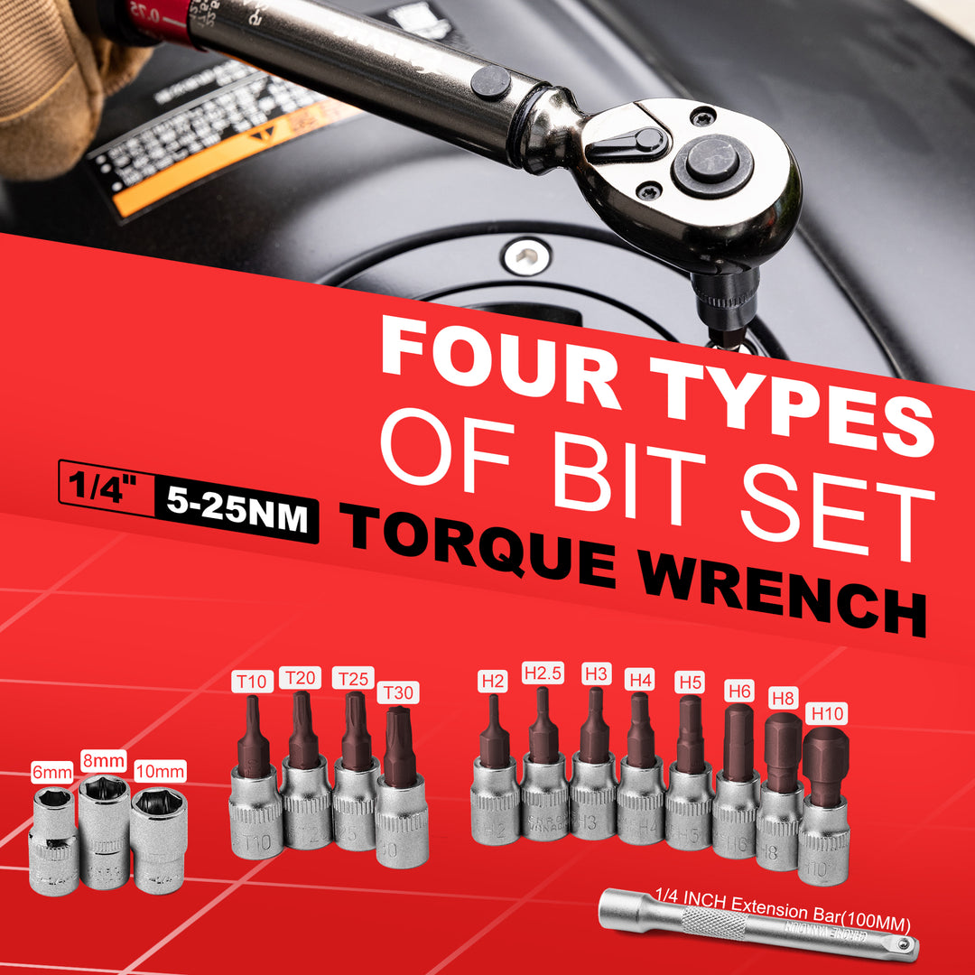 16-Piece Precision Torque Wrench Set