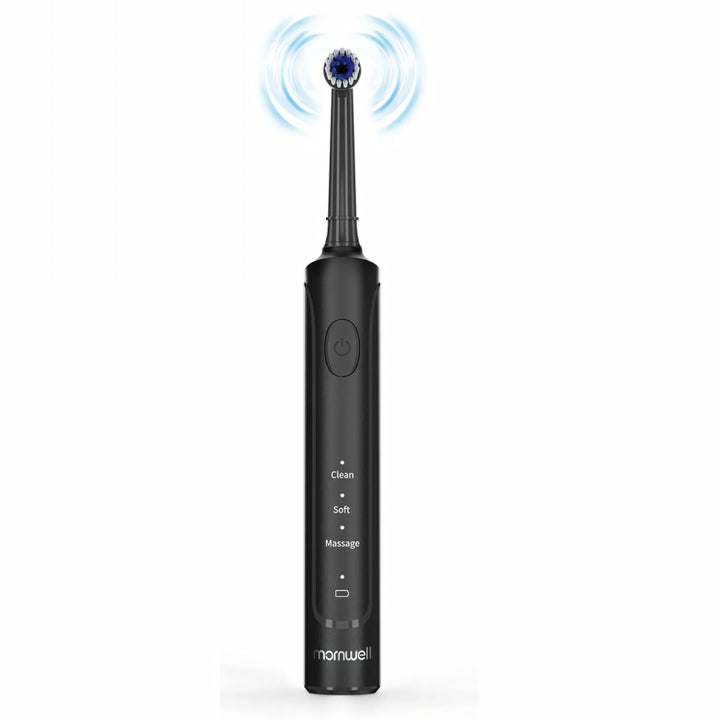 Advanced Electric Sonic Toothbrush with USB Charging and 8 Replacement Heads