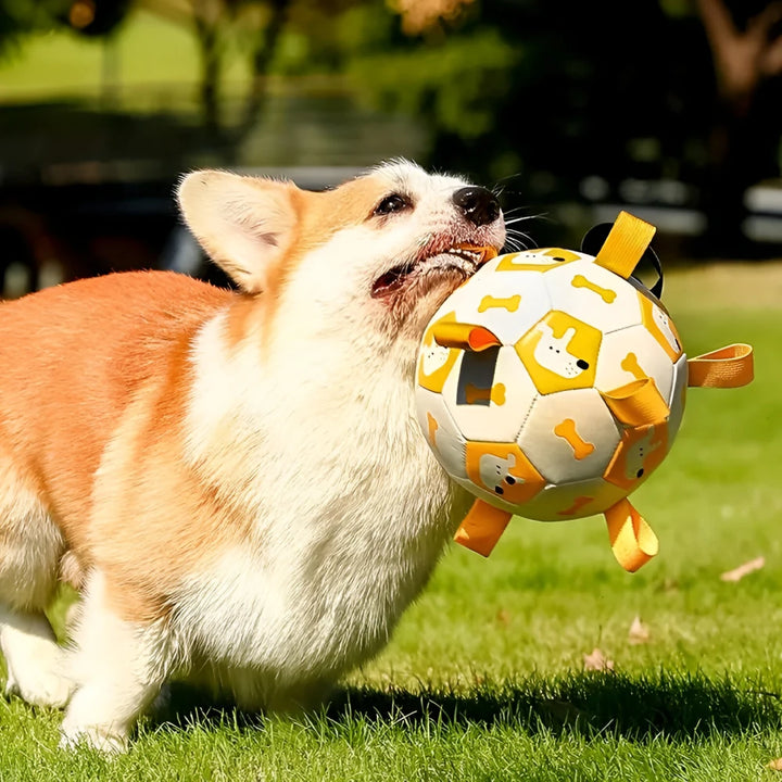 Interactive Football Dog Toy with Grab Tabs