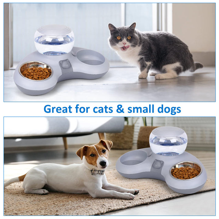 Automatic Water Dispenser & Double Cat Bowl Set