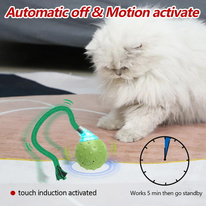 Interactive Motion-Activated Cat Toy with Rolling Ball, Teaser Tail, and Bird Sounds