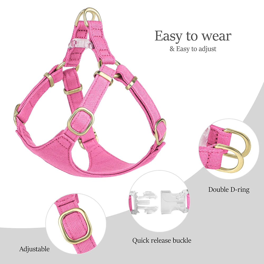 Bowtie Dog Collar Harness Leash Set