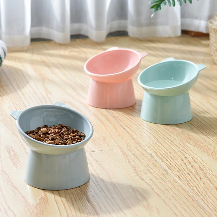 Elevated Cat and Dog Bowl with 45-Degree Tilt