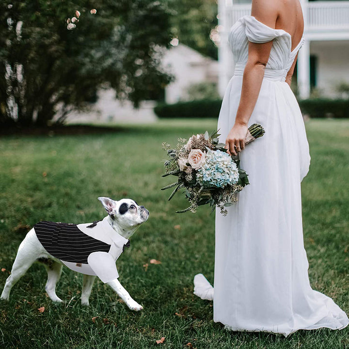 Stylish Dog Tuxedo with Bow-Tie