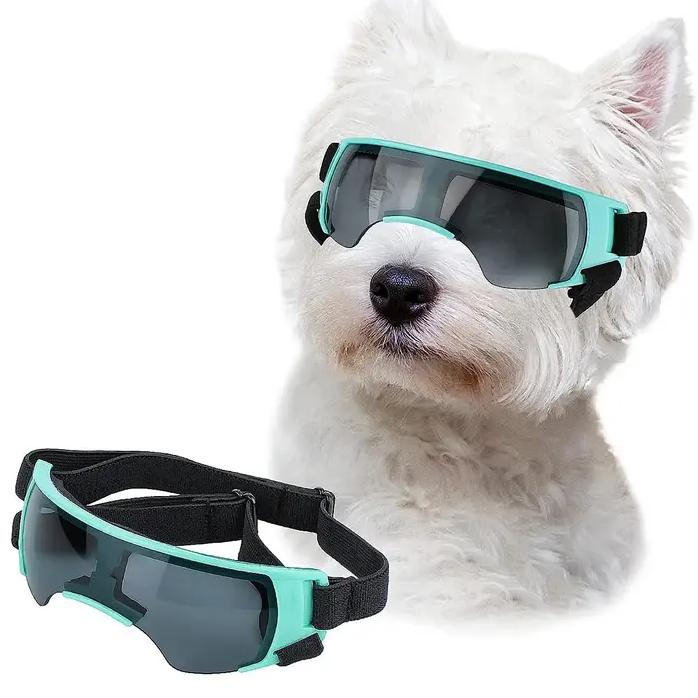 Small Dog Sunglasses