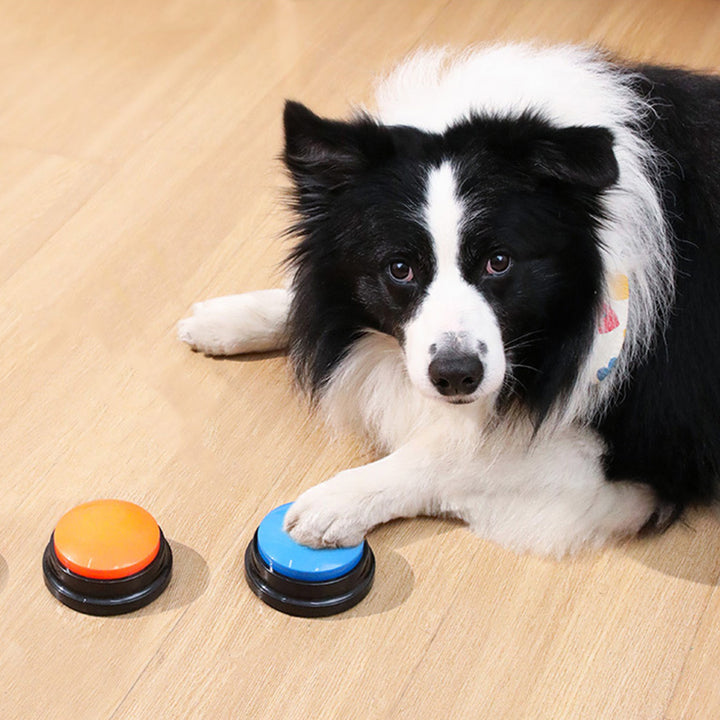 Interactive Pet Communication Button - Recordable Voice Training Toy for Dogs