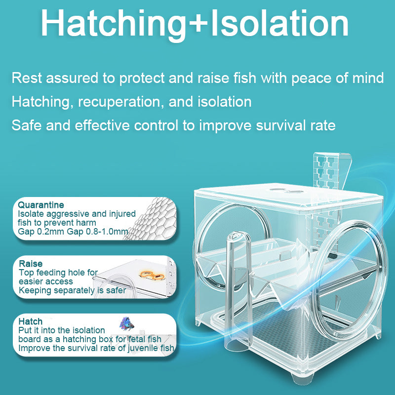 Wall-Mounted Fish Tank Isolation Hatchery