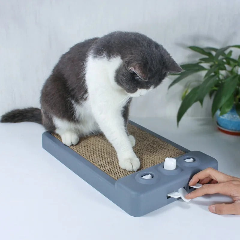 Durable Cat Scratching Board