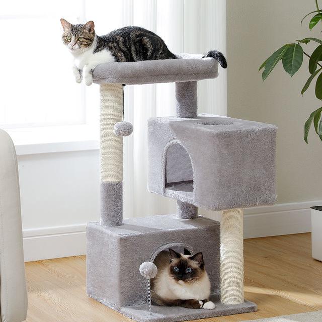 80CM Cat Tower with Double Condo & Large Perch