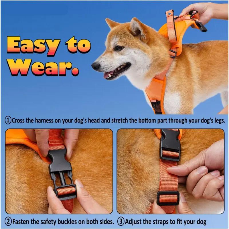 All-in-One Dog Harness and Retractable Leash Set