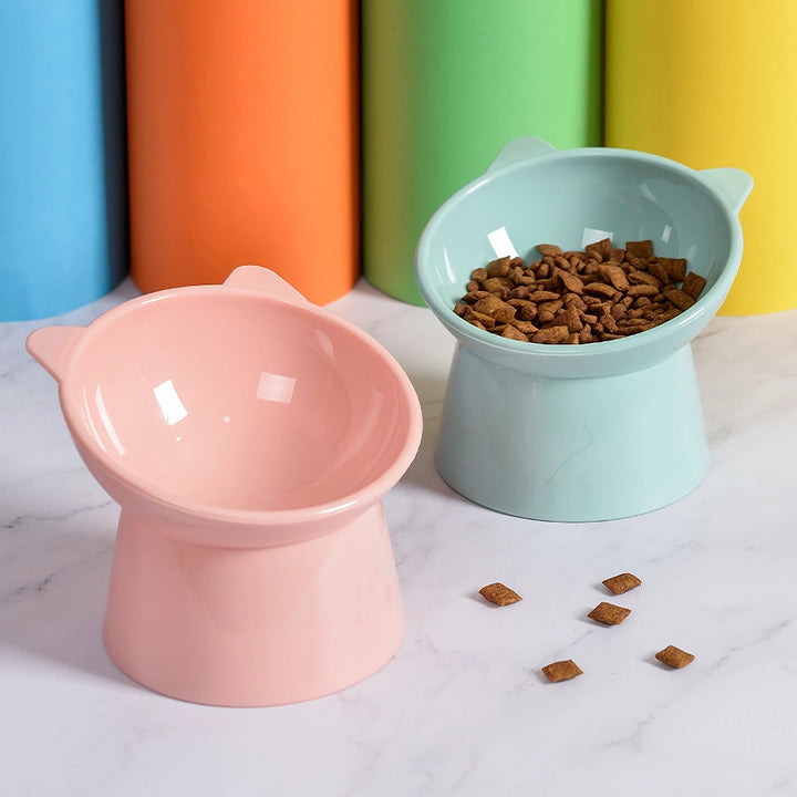 Elevated Cat and Dog Bowl with 45-Degree Tilt