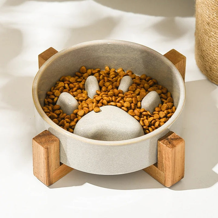 Ceramic Slow Feeder Bowl for Dogs & Cats