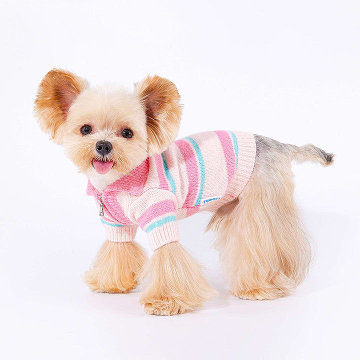 Cozy Knitted Dog Sweater