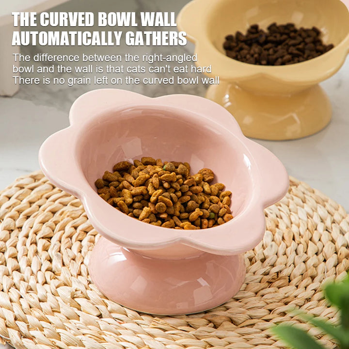 Raised Ceramic Cat Water Bowl