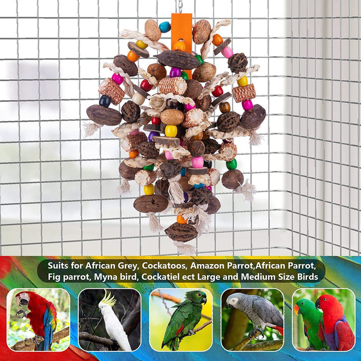 Large Parrots Nibbling On Toy Fruit Skewers