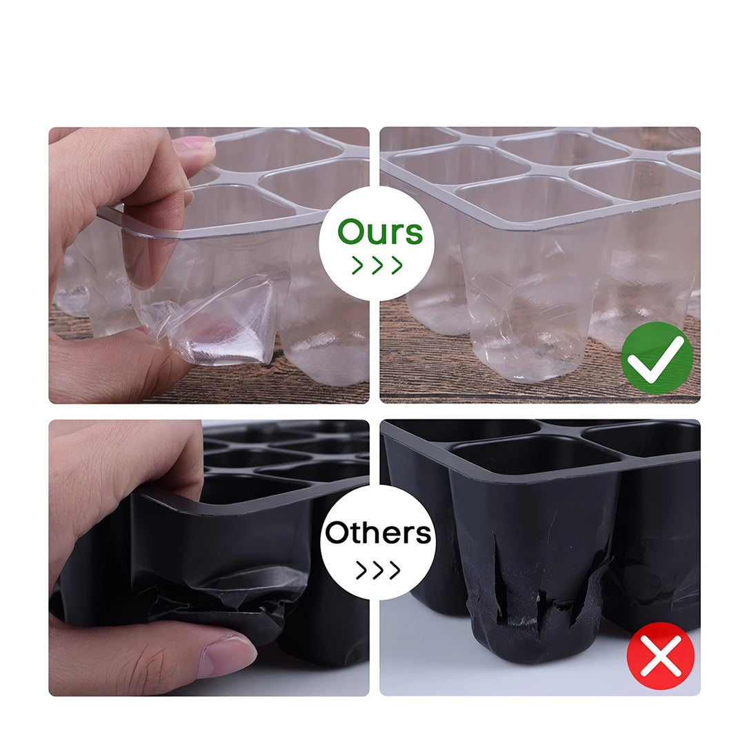 12-Cell Seedling Tray with Humidity Dome and Drainage Holes