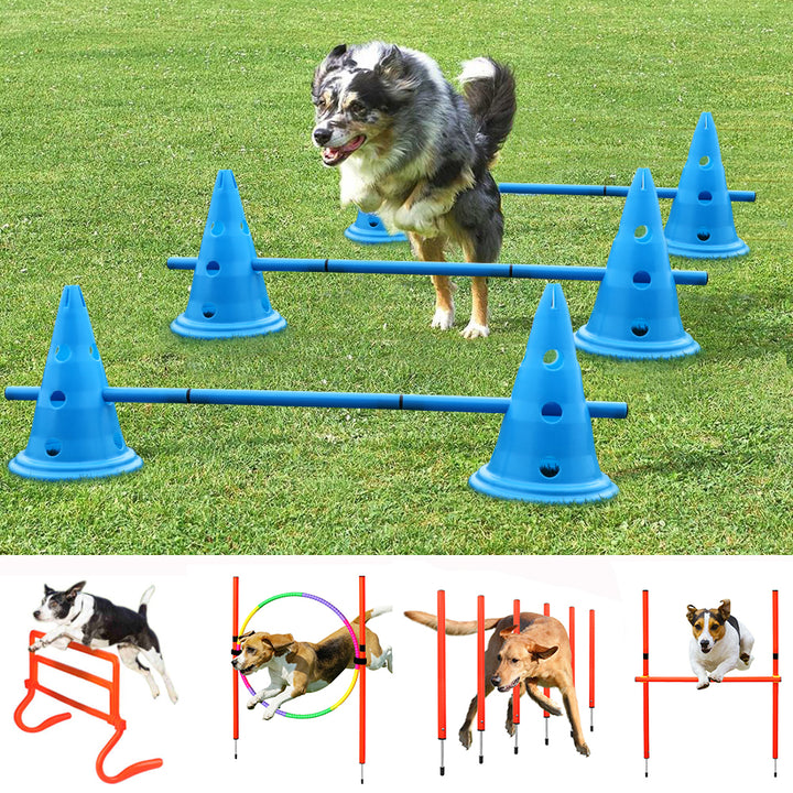 Portable Dog Agility Training Equipment