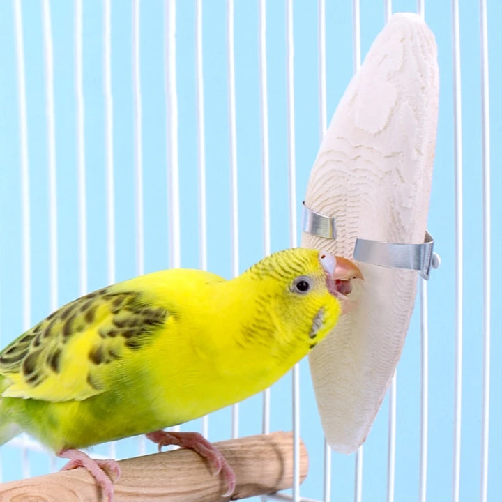 Cuttlebone Chew Toy with Metal Holder for Parakeets