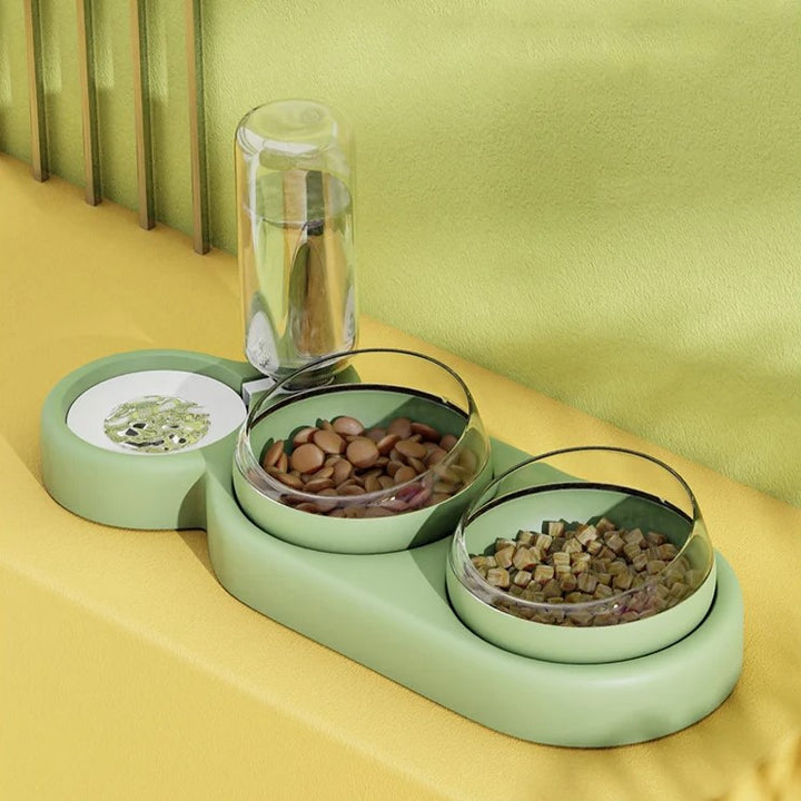 Automatic Pet Feeder with Tilted Double Bowls and Water Fountain