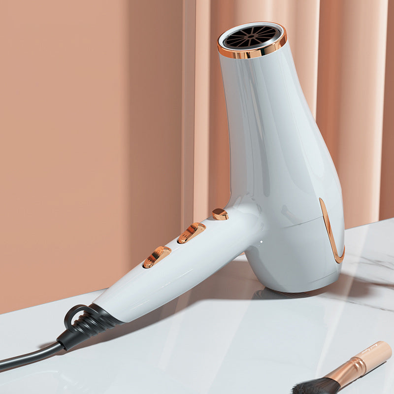 Professional Electric Hair Dryer