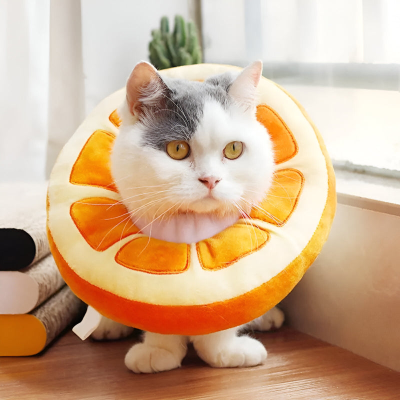 Adjustable Fruit-Shaped Cat and Dog Elizabethan Collar