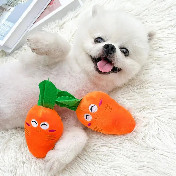 Plush Squeaky Dog Chew Toys