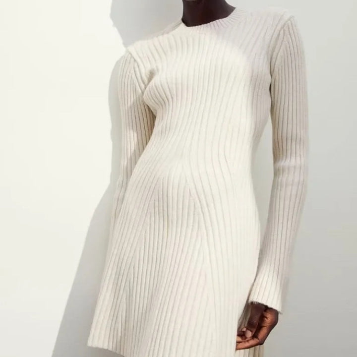 Textured Round Neck Long Sleeve Slim Knit Dress