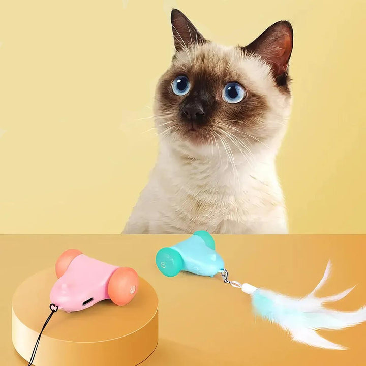 Interactive Colorful Light Cat Teaser Stick Toy