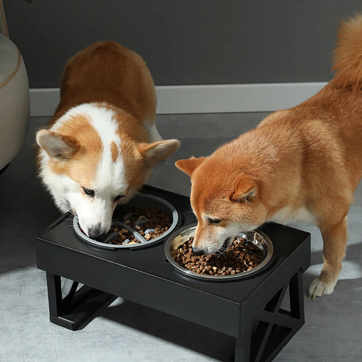 Stainless Steel Elevated Pet Bowls with Slow Food Bowl Accessories