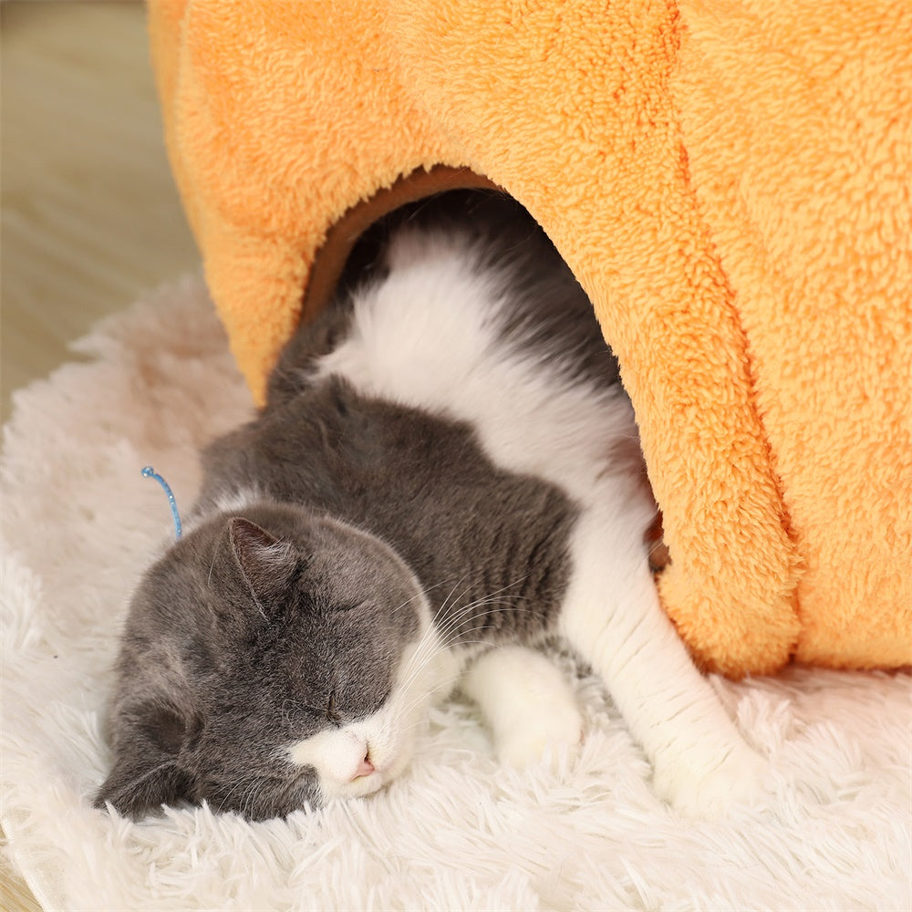 Pumpkin-Shaped Winter Dog Bed