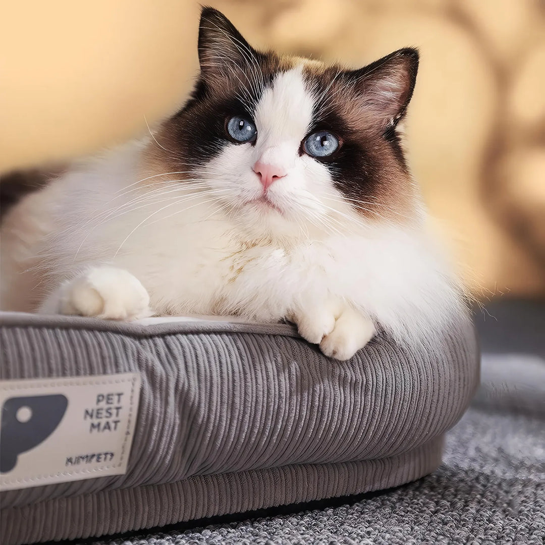 Cozy Indoor Pet Bed