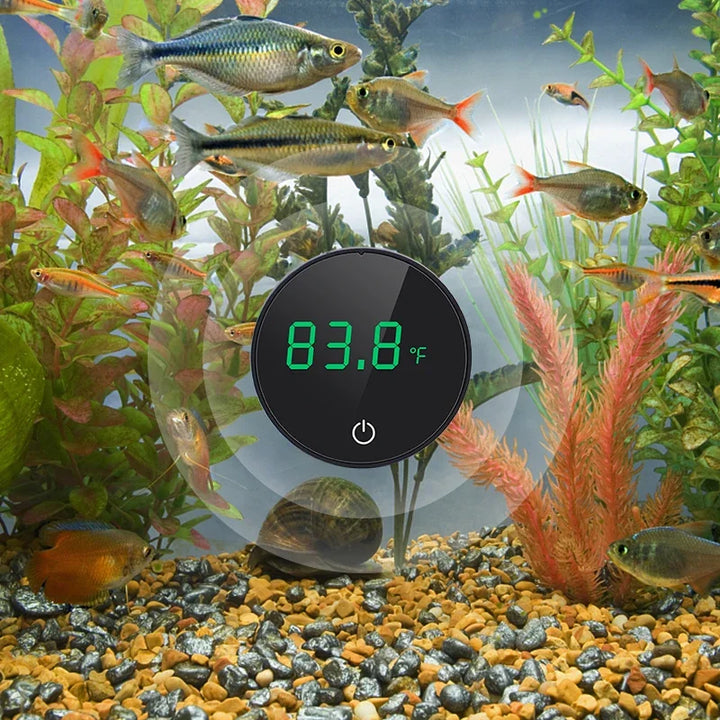 High-Precision Digital Fish Tank Thermometer