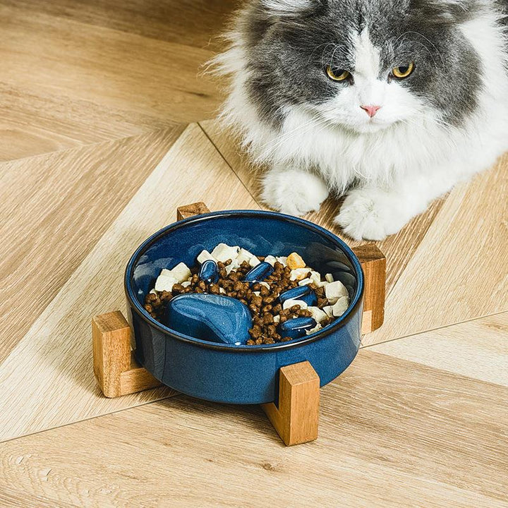 Slow Feed Ceramic Pet Bowl