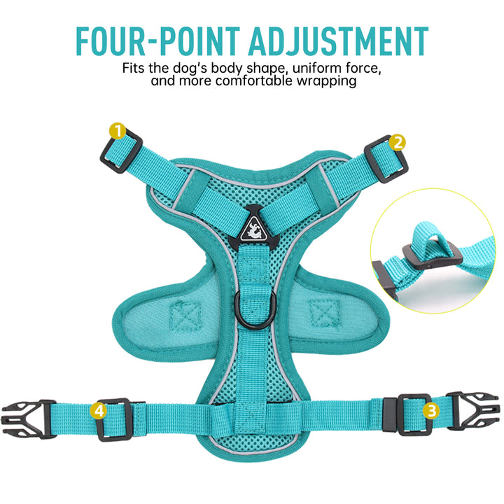 Adjustable Mesh Cat Harness and Leash Set