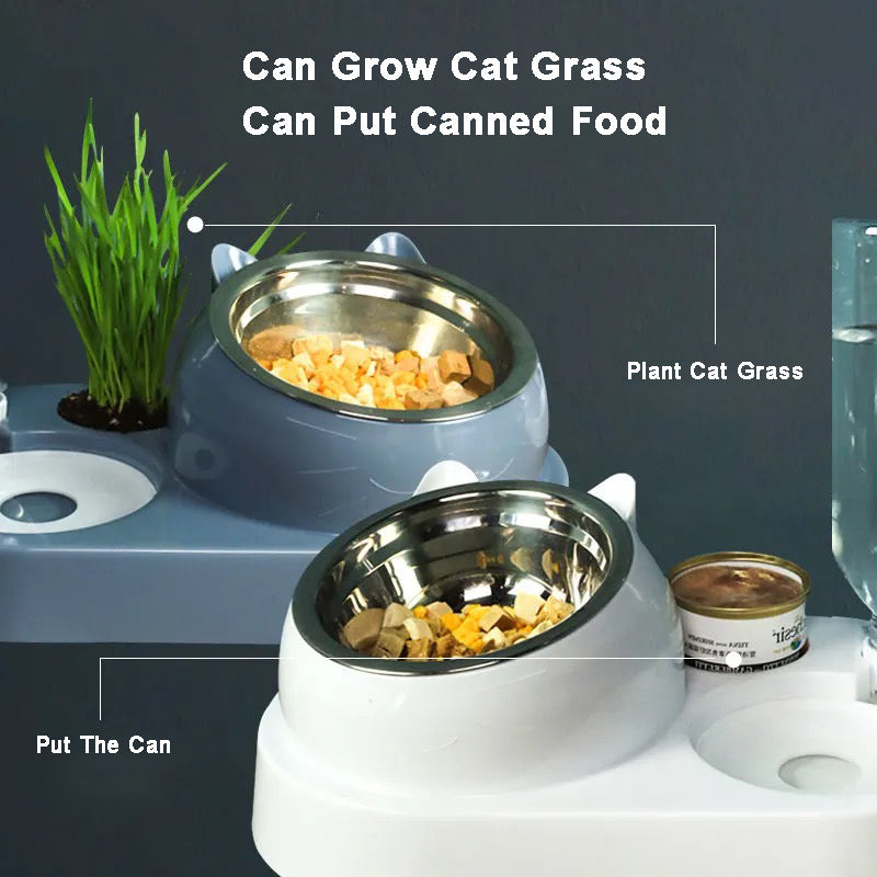 16° Tilted Stainless Steel Cat and Small Dog Feeder & Water Dispenser