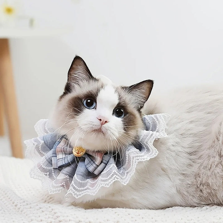 Cute Lace Bowtie Pet Bib