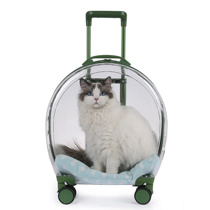 Transparent & Translucent Pet Trolley Backpack for Cats & Small Dogs